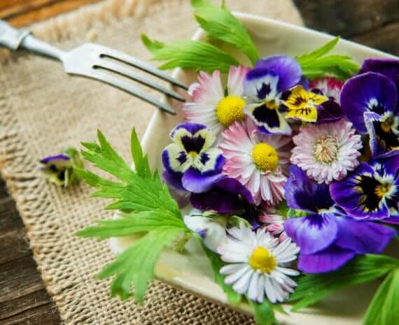 organic food: Edible flowers
