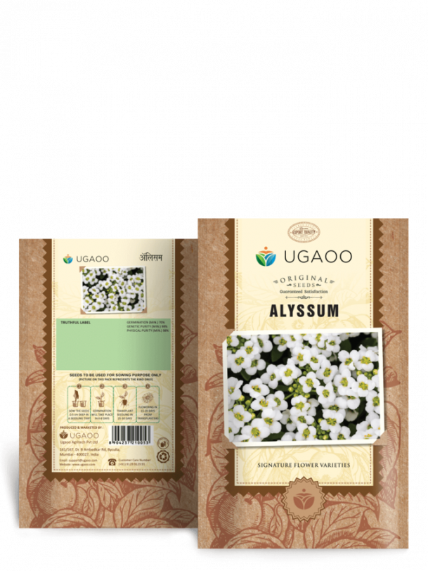 Alyssum (200 Seeds)
