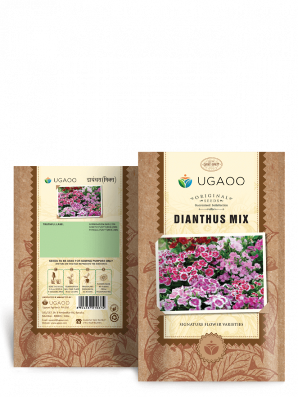 Dianthus Mix Seeds