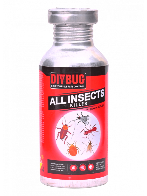DIYBUG All Insects Killer - 100 ml