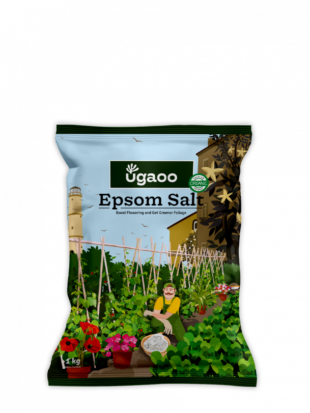 Epsom Salt - 1 kg