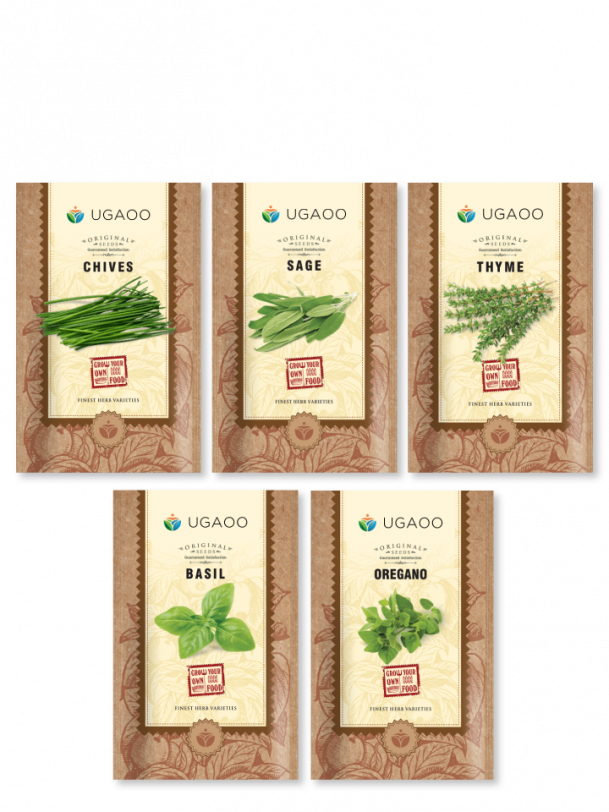 Herb Seeds Bundle of 5 Packet